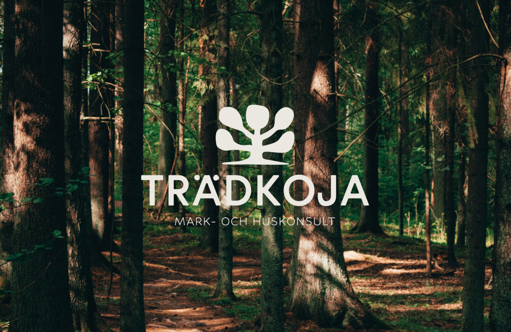 Trädkoja